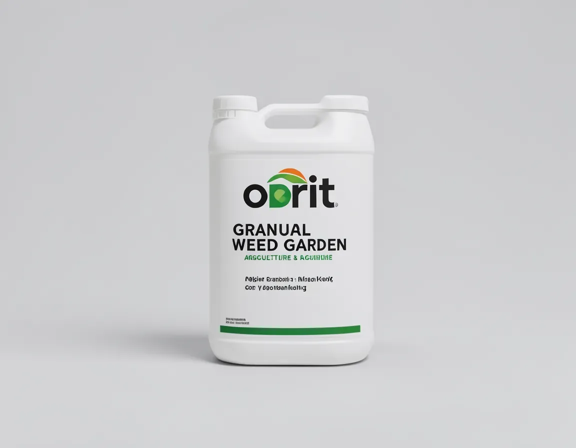 orbit — illustrative image