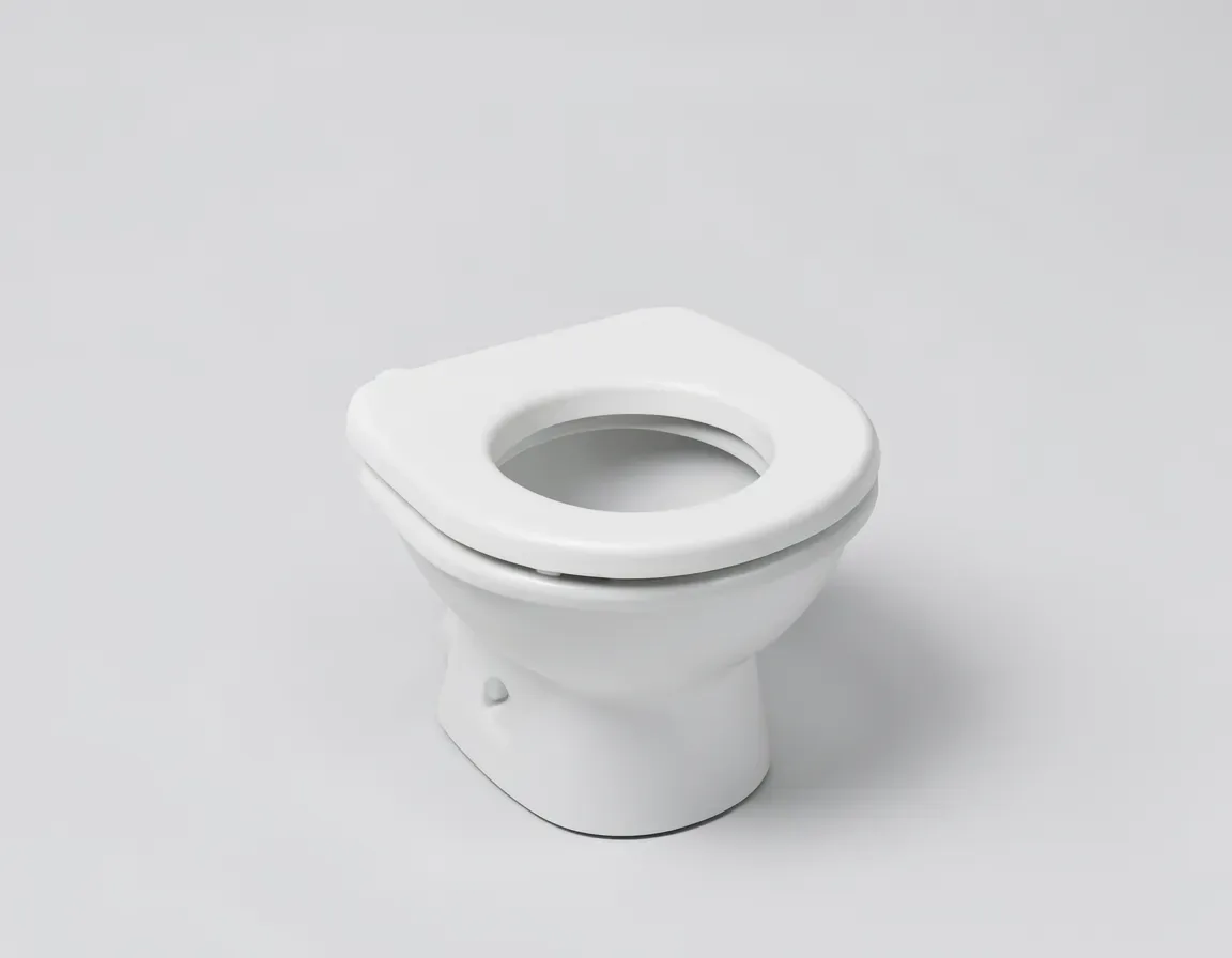toilet seat — illustrative image