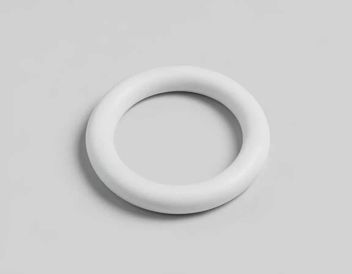 viton o-ring — illustrative image